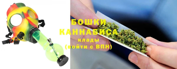 прущие грибы Арсеньев
