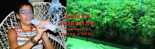 ПСИЛОЦИБИНОВЫЕ ГРИБЫ Аркадак