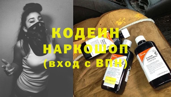 прущие грибы Арсеньев