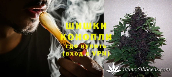 ПСИЛОЦИБИНОВЫЕ ГРИБЫ Аркадак
